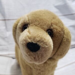 Douglas Golden Retriever Dog 9" Plush Stuffed Animal Green Tag Vintage Mini